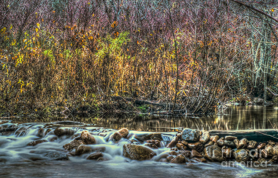 Sherman Creek Photograph by Loni Collins
