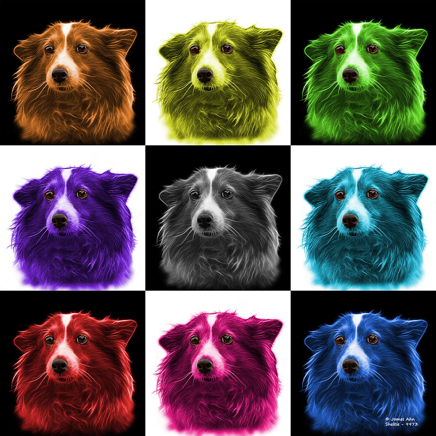Shetland Sheepdog Dog Art 9973 - V1 - M Mixed Media by James Ahn