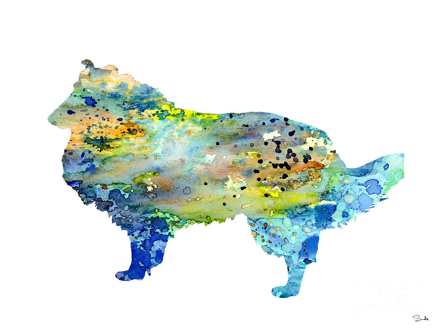 Dog Watercolor Painting - Shetland Sheepdog by Watercolor Girl
