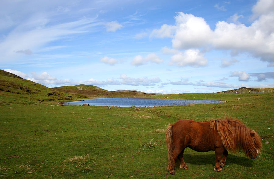 Shetlands landscape Photograph by Luisa Azzolini