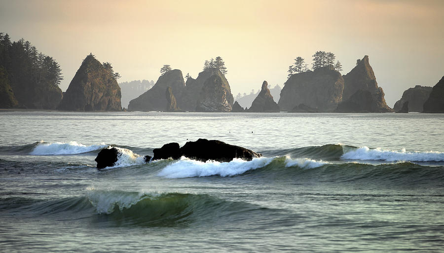 Shi Shi Beach In Washington Coast In Sunset Photograph By King Wu