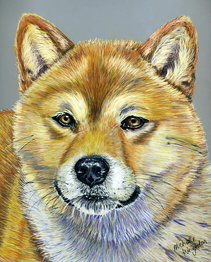 Dog Painting - Shiba Inu - Suki by Michelle Wrighton