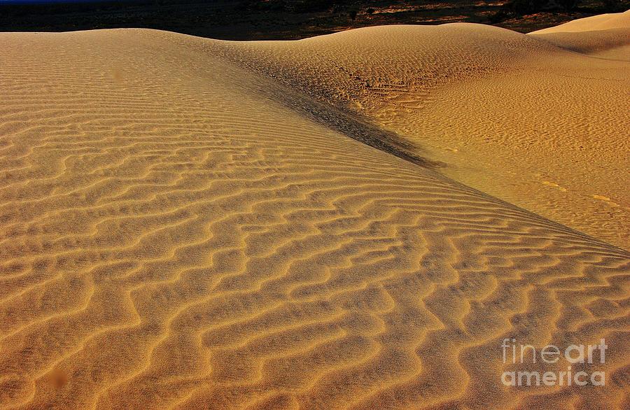 Shifting sands Photograph by Blair Stuart