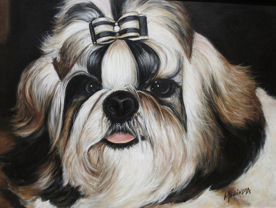 Shih Tzu Puppy  Painting by Melinda Saminski