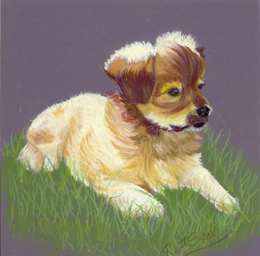 Animal Painting - Shih Tzu Puppy by Ruth Seal