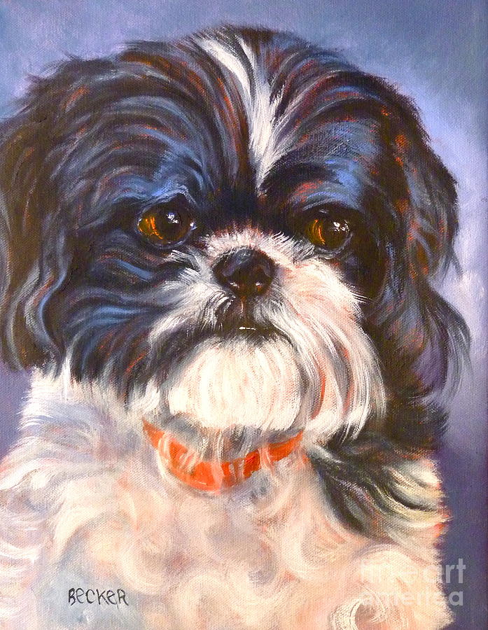 Shih Tzu Rescued Painting by Susan A Becker