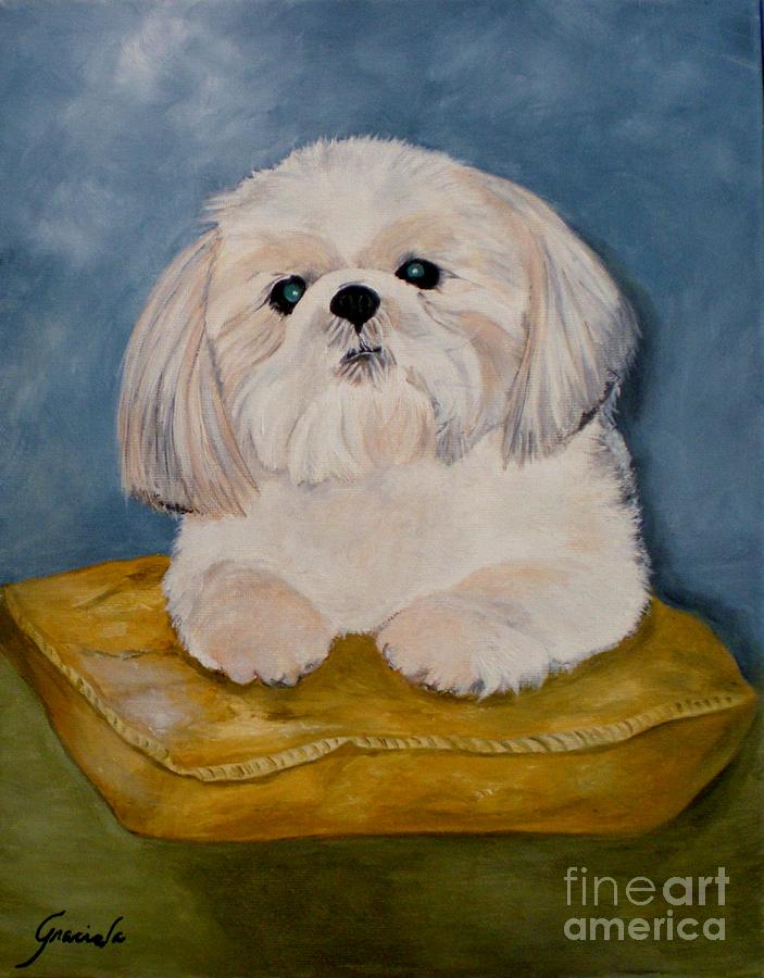 Dog Painting - Shihtzu by Graciela Castro