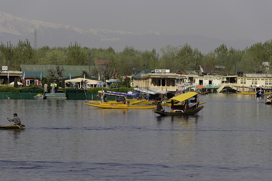 Shikaras and houseboats along with a garden in the Dal Lake in Srinagar Photograph by Ashish Agarwal