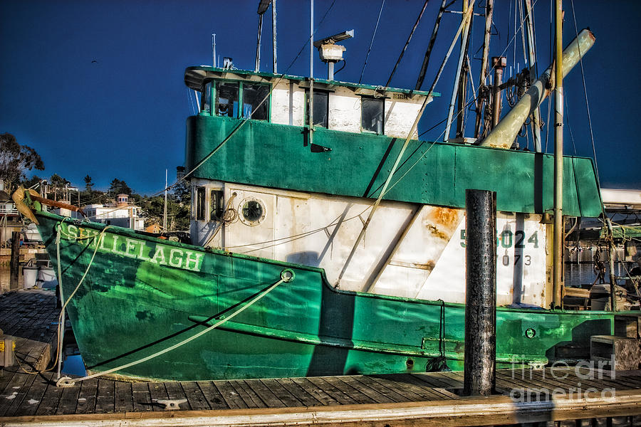 Shillelagh Boat Photograph by Timothy Hacker