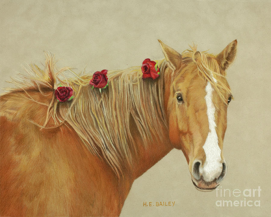 Sorrel Horse Drawing - Shiloh by Helen Bailey