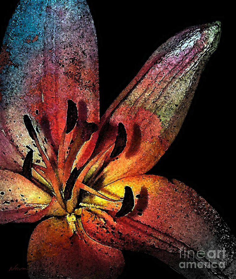 Lily Photograph - Shimmering Beauty by Deena Athans