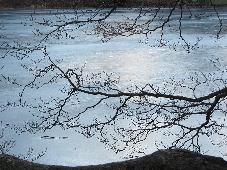 Ice Photograph - Shimmering Ice by Deborah Flusberg Ice Photograph - Shimmering Ice by Deborah Flusberg