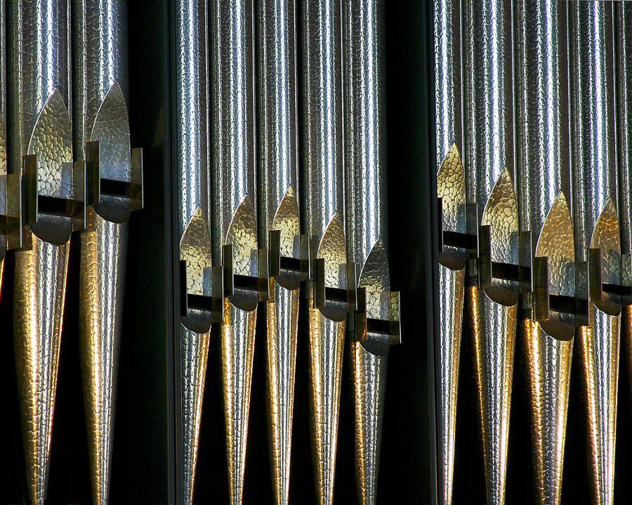 Shimmering pipes Photograph by Jenny Setchell