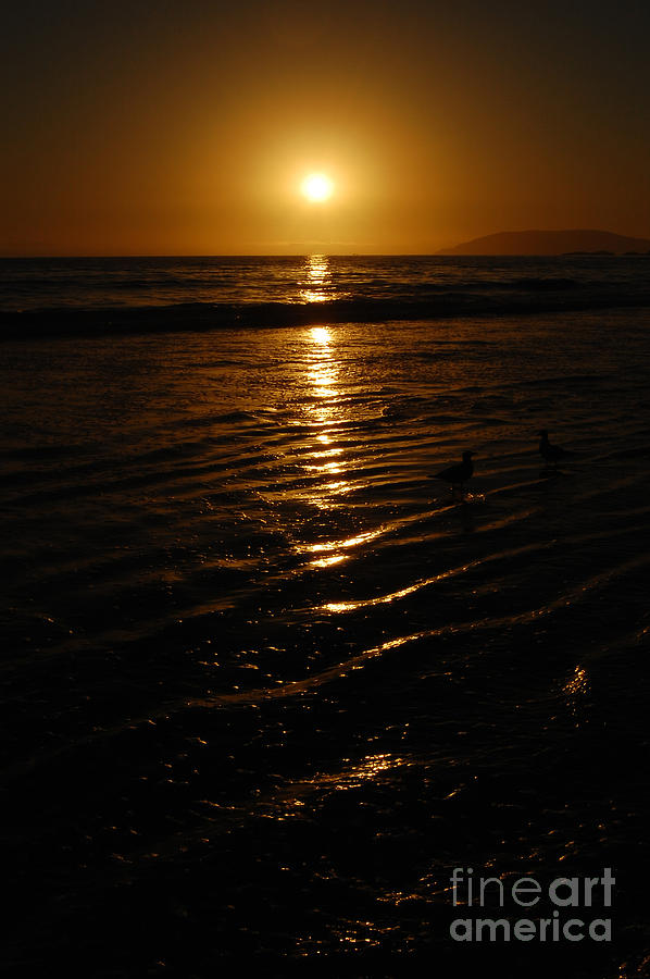 Shimmering Sunset Photograph by Debra Thompson