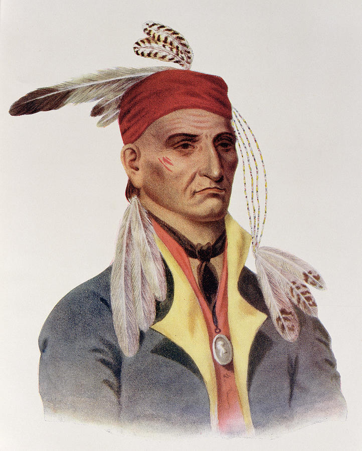 Feather Photograph - Shin-ga-ba Wossin Or Image Stone,  A Chippeway Chief, 1826, Illustration From The Indian Tribes by James Otto Lewis