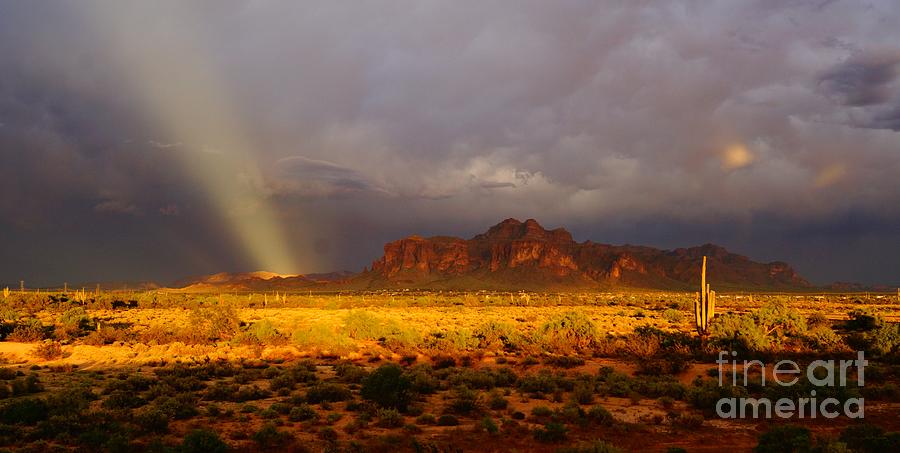 Shine a Light on It by Kerri Mortenson Shine a Light on It by Kerri Mortenson