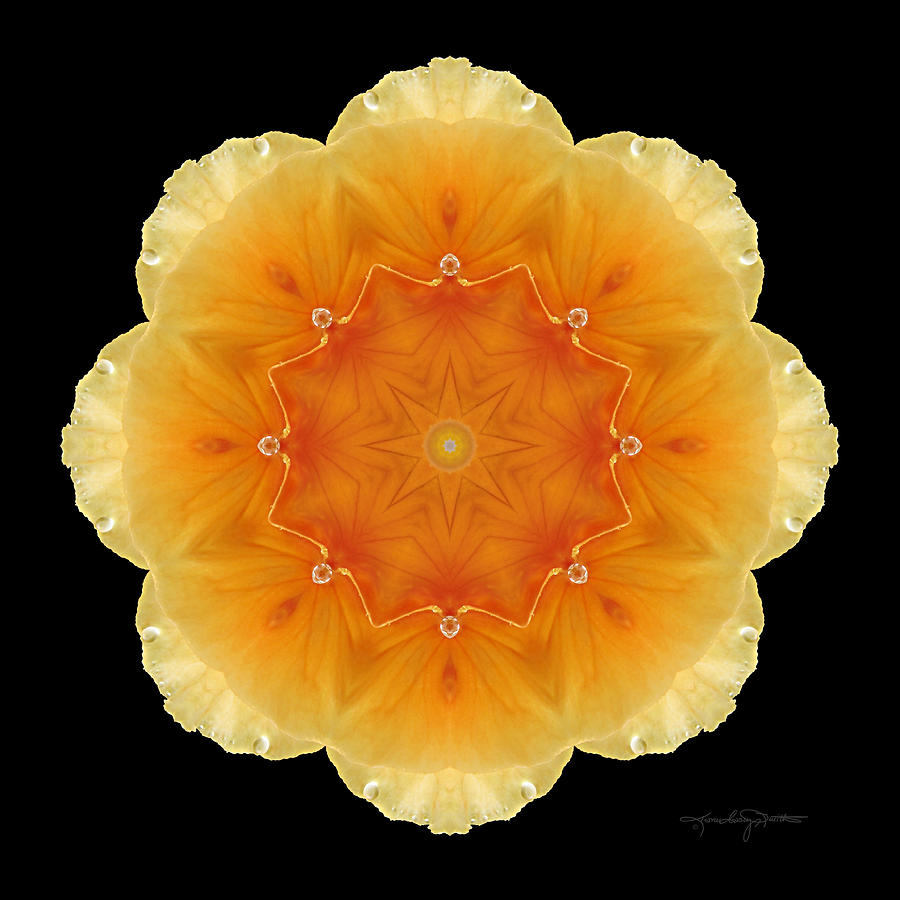 Flower Mandala Photograph - Shine by Karen Casey-Smith