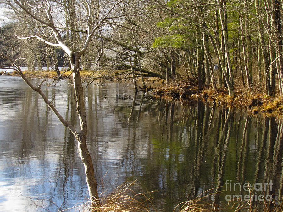 Shingle Mill Pond in Winter Photograph by Lili Feinstein
