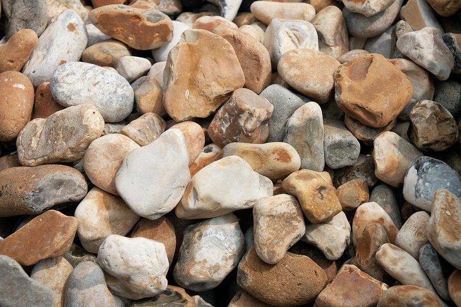 Pebbles Photograph - Shingle by Phil Hill/science Photo Library