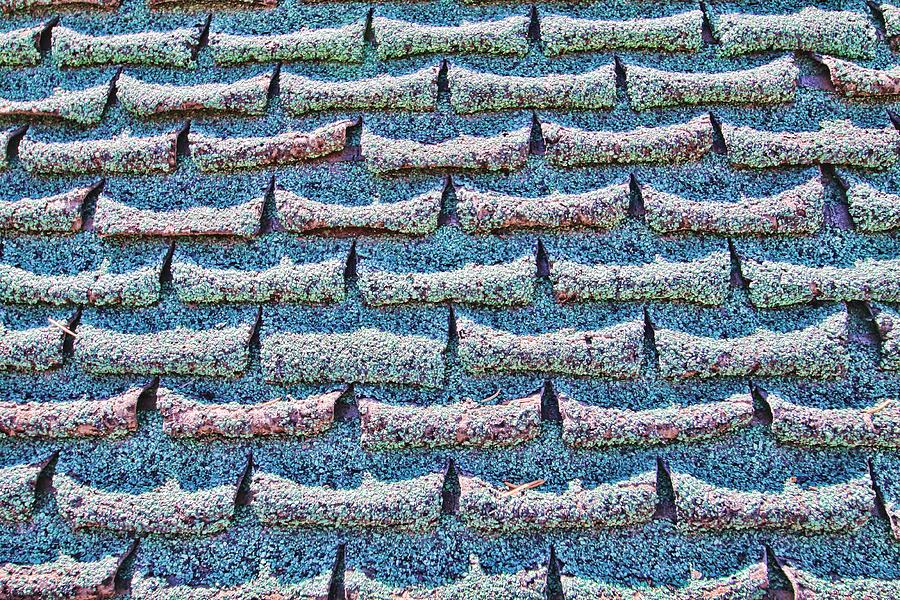 Curled Digital Art - Shingles by Audreen Gieger