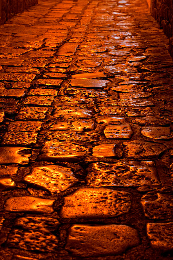 Shining Cobblestones Photograph by Alexey Stiop