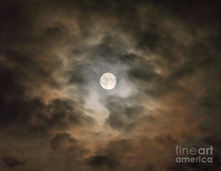 Moon Photograph - Shining Through by Chuck Smith