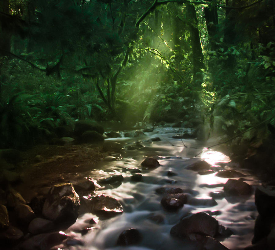 Shining Through by Eva Kondzialkiewicz Shining Through by Eva Kondzialkiewicz