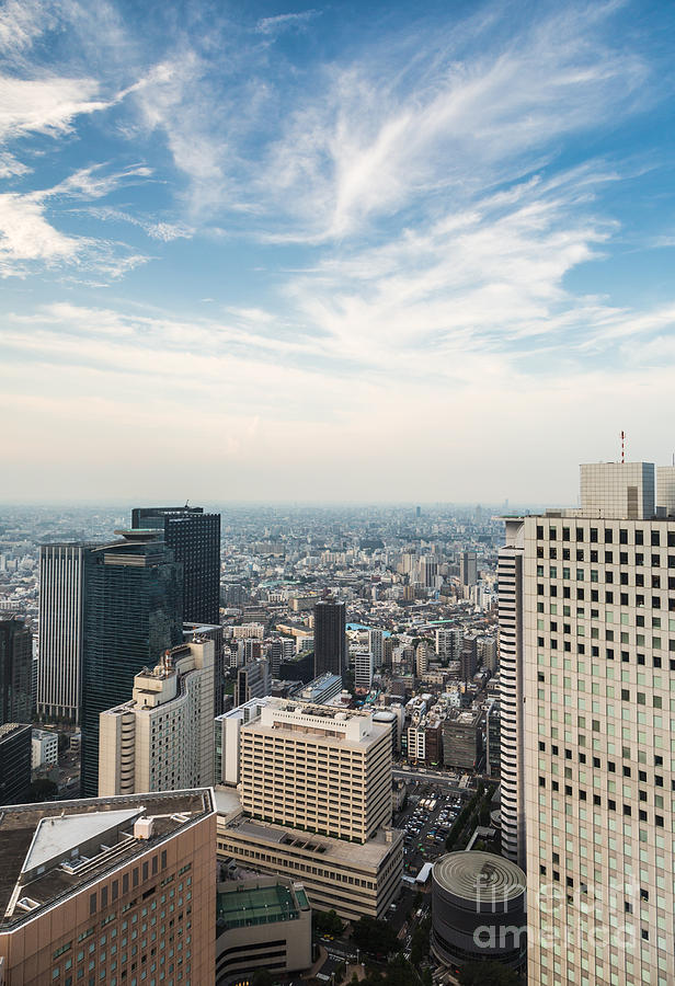 Shinjuku skyline in Tokyo Photograph by Didier Marti