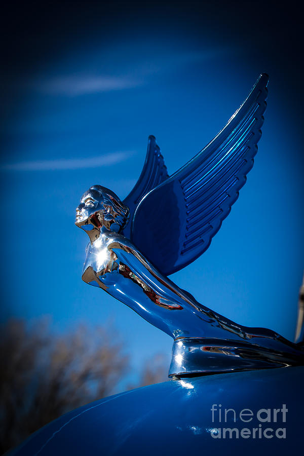 Shiny and Blue Photograph by Jim McCain