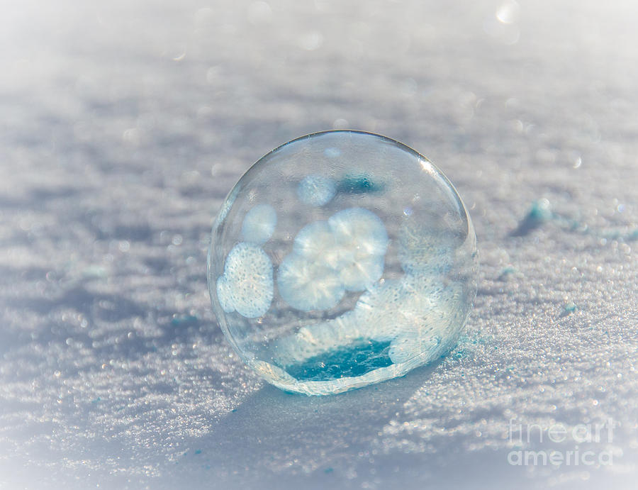 Shiny Frozen Bubble Photograph by Cheryl Baxter