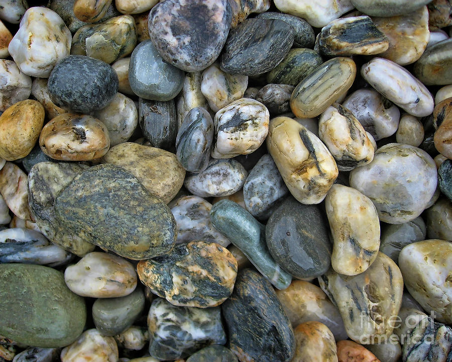 Shiny Rocks Photograph by Diane Enright