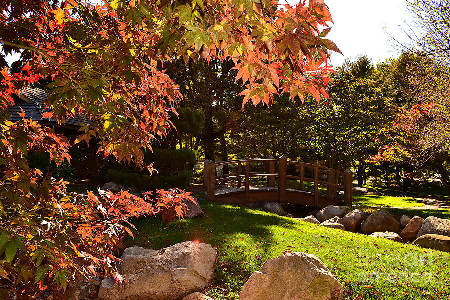 Shiojiri Niwa Garden in Fall Photograph by Amy Lucid