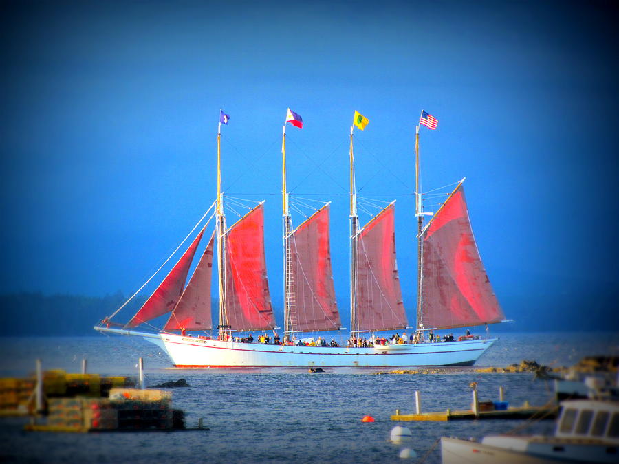Ship in Bar Harbor with brightly colored sails Photograph by Toni and Rene Maggio