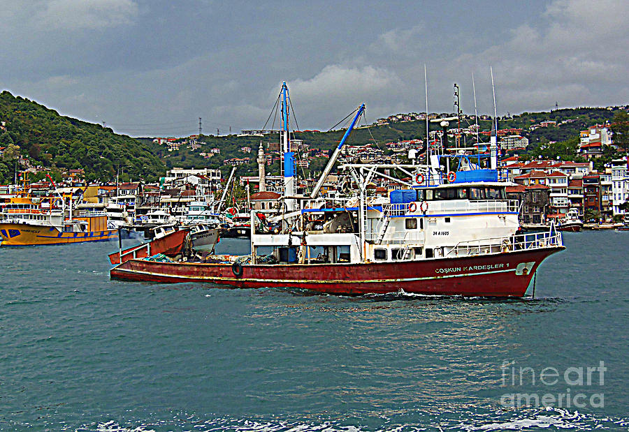 Ship on the Bosporus Strait Photograph by Lou Ann Bagnall