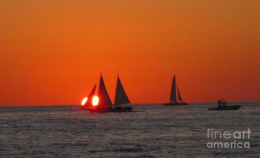 Ship sailing in the Sunset Photograph by Amanda Mohler