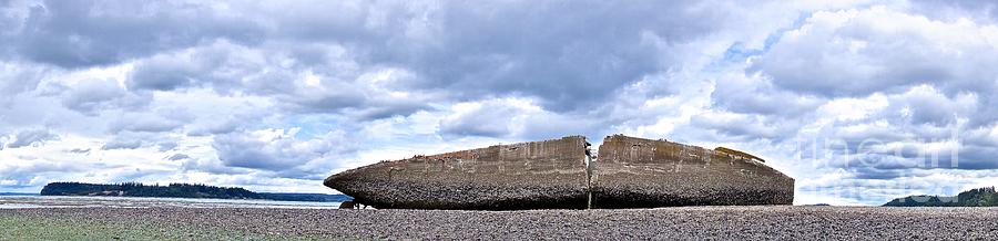 Shipwreck Panorama Photograph by Sean Griffin