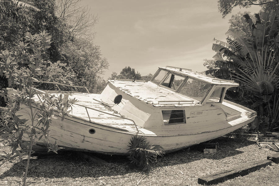 Shipwrecked Photograph by Shannon Harrington