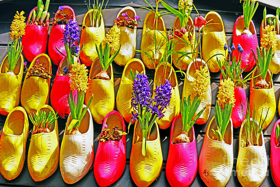 Shoe Planters Photograph by Elvis Vaughn