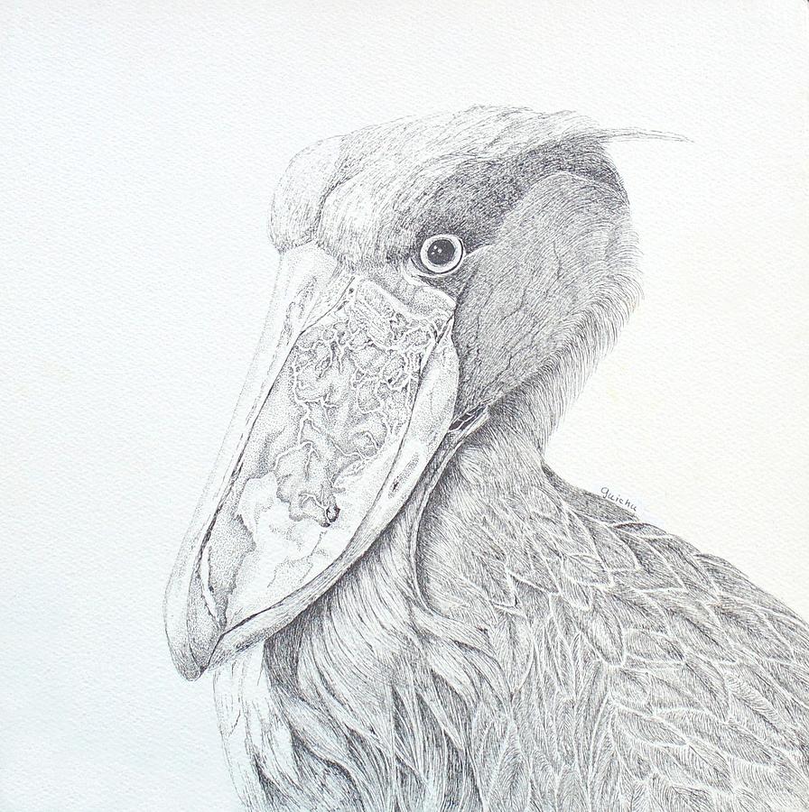 Shoebill Drawing by Peggy Guichu - Fine Art America