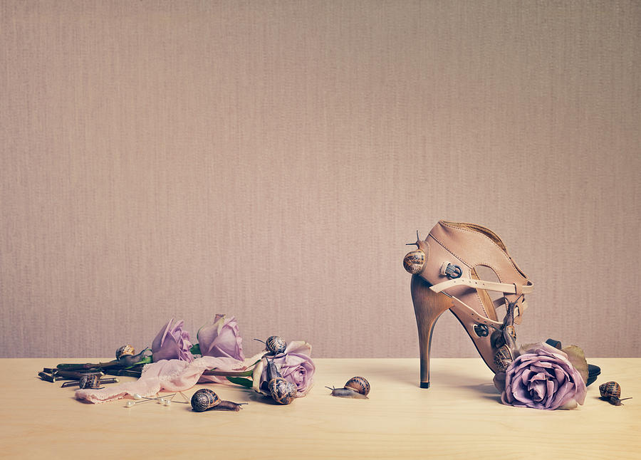 Shoes, Knickers And Snails Photograph by Daniel Day