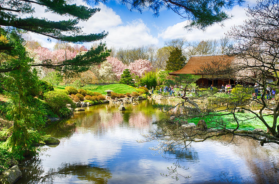 Shofuso Japanese House And Garden Photograph By Dheeraj Mallemala
