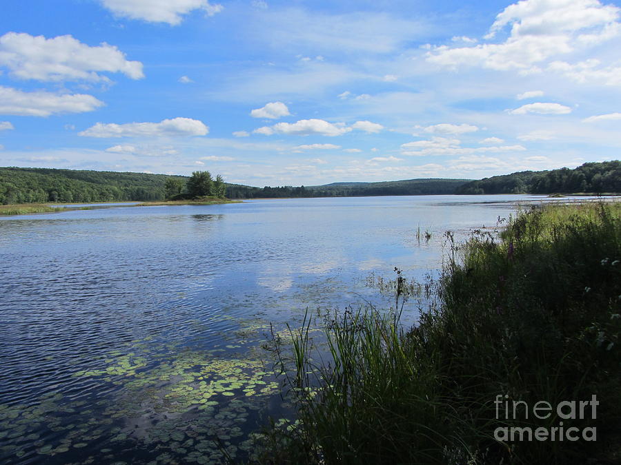 Shohola Marsh Reservoir - Lake View Photograph by Susan Carella