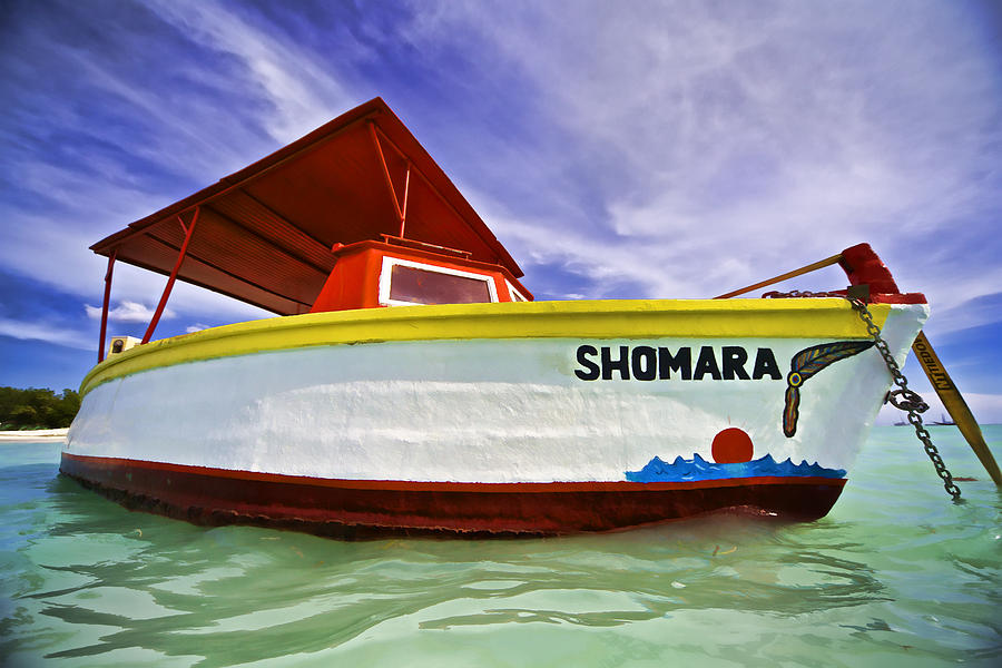 Shomara of Aruba II Photograph by David Letts