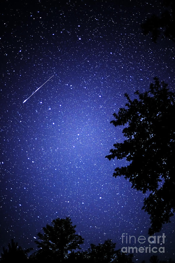 Shooting Star and Satellite Photograph by Thomas R Fletcher