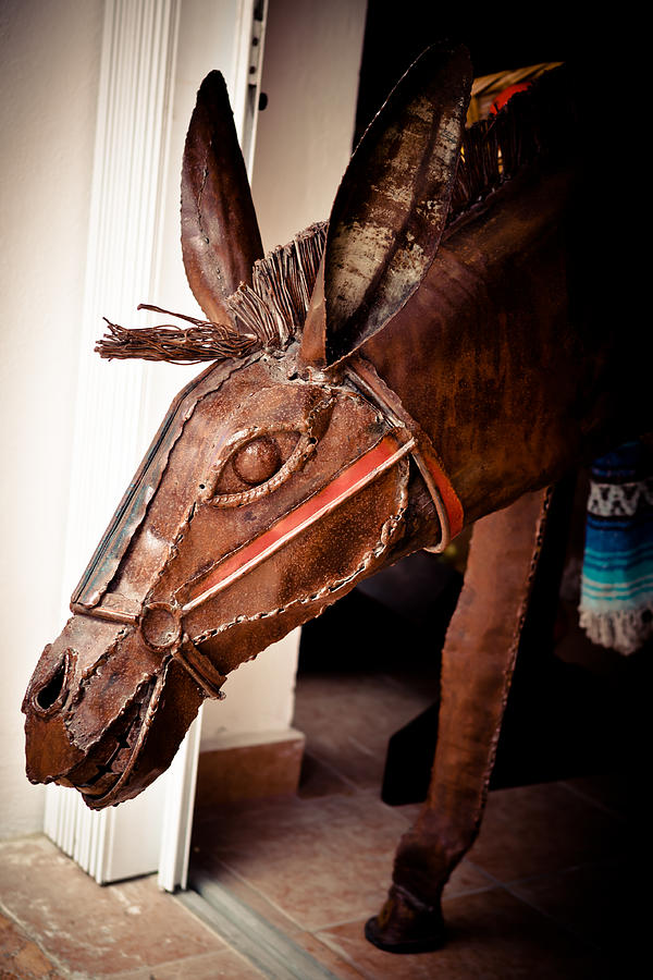 Shop Donkey Photograph by Melinda Ledsome