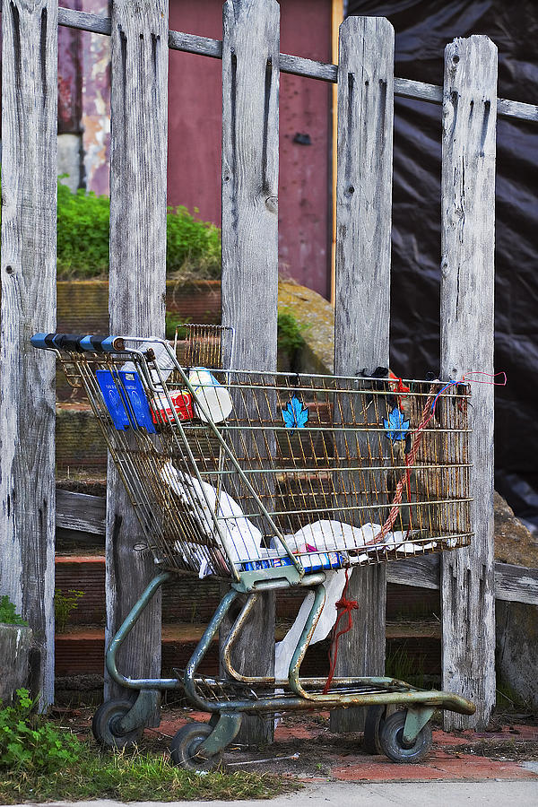 Shopping Cart Photograph by Peter Tellone