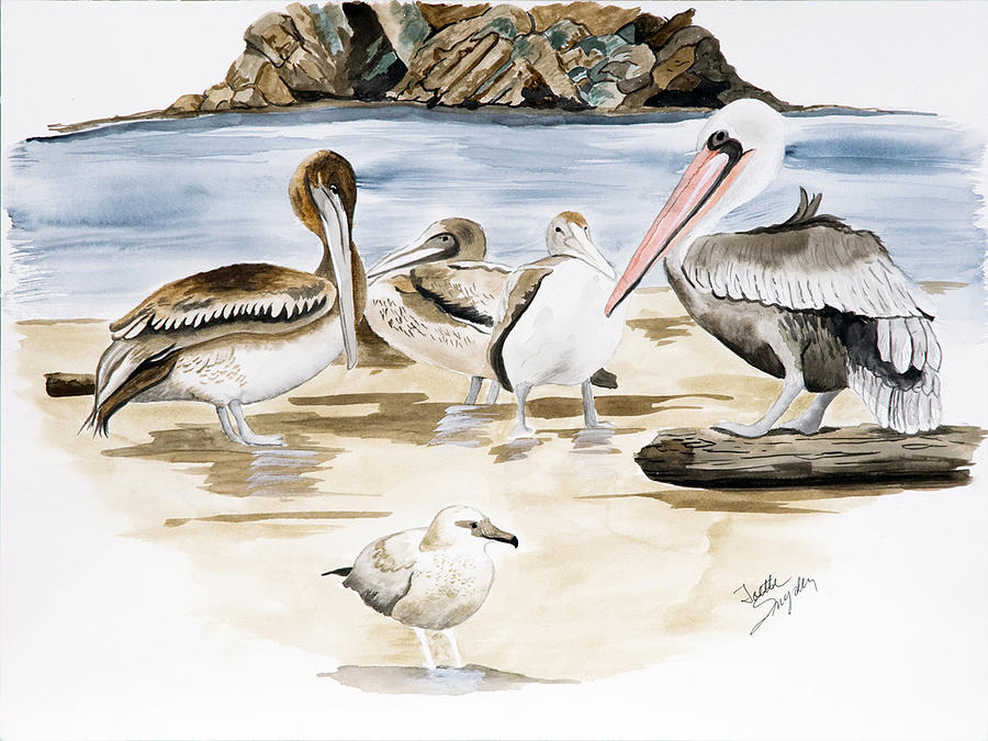 Shore Birds Painting by Joette Snyder