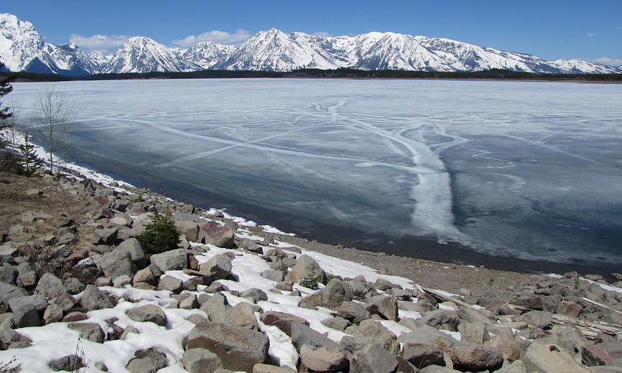 Shore of iced over Jackson Lake in Grand Teton NP Wyoming Photograph by Toni and Rene Maggio