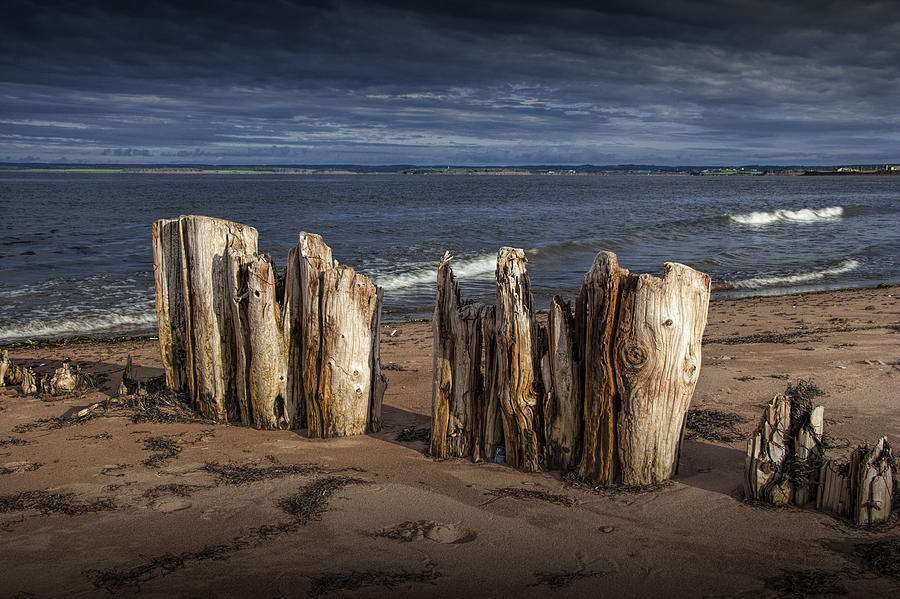 Shore Pilings on Prince Edward Island Photograph by Randall Nyhof
