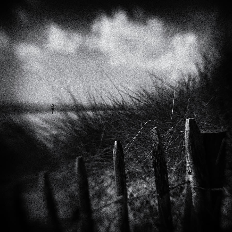 Shore Runner Photograph by Luc Vangindertael (lagrange)